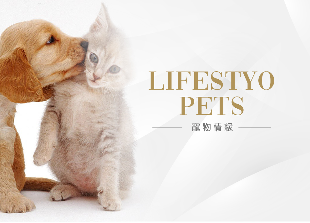 lifestyo pet