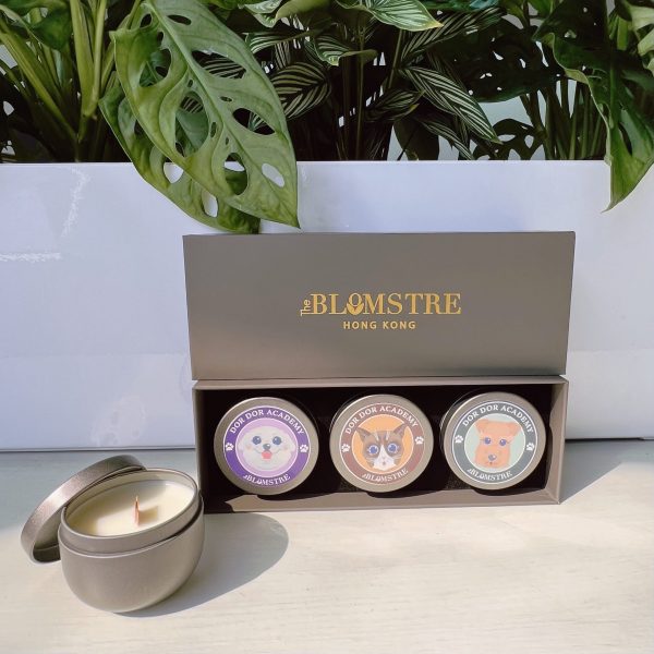 Blomstre (Set C) $349