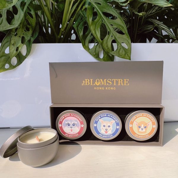 Blomstre (Set D) $349 Blomstre (Set D) $349