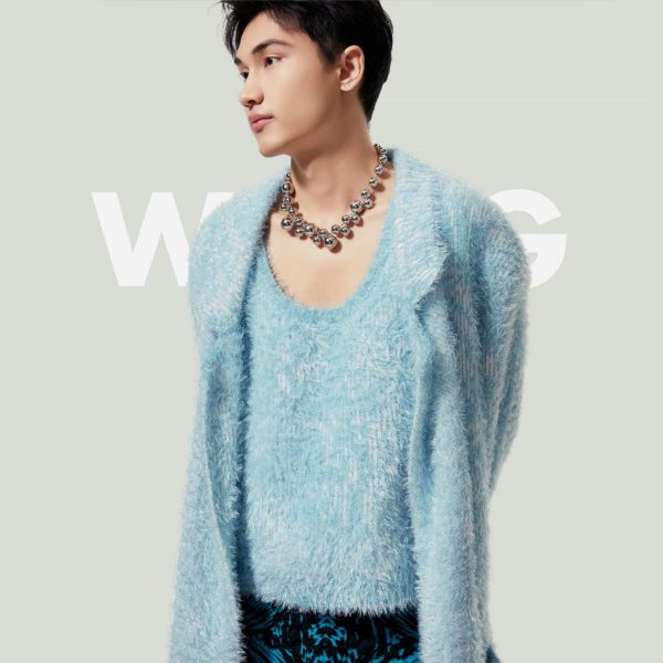 YKDC-006-WH (1)